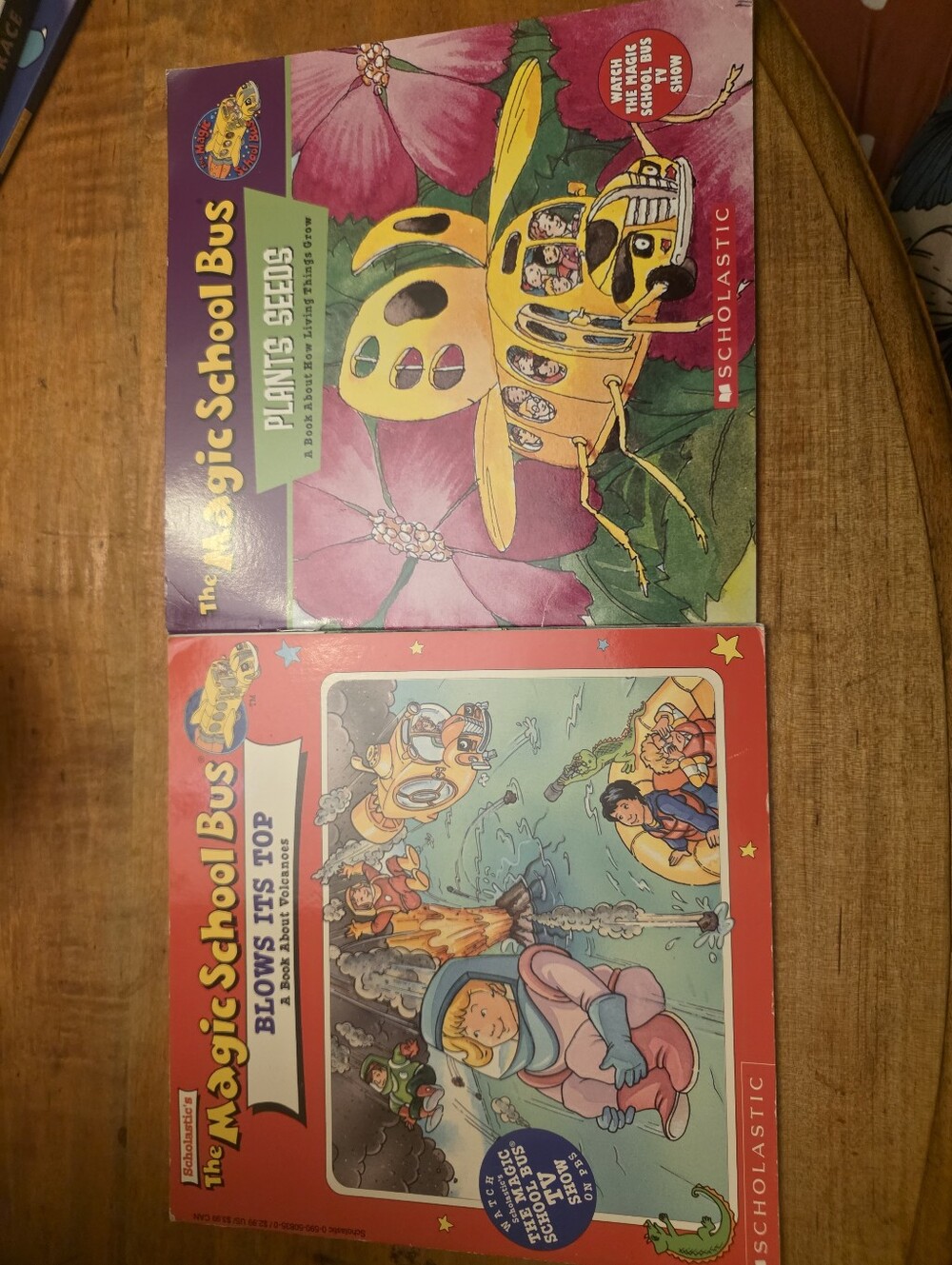 The Magic School Bus Blows Its Top: A Book About Volcanoes + Plants Seeds Lot